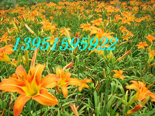 NɫݼtݡS˽ᘲˡ桢nݡĸH