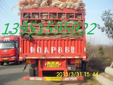 ֦t~~ߗUŮؑ~t