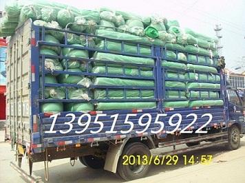 {ɫaW̫ꖾWWGɫꎾW