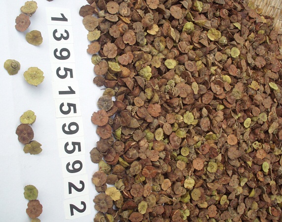 R״̷NRFhʷNӡBվ̷Nӡ𼬷N