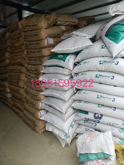 o¸éļࡢ뻱桢֦Ч