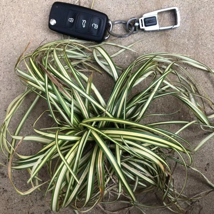 ޸~~ʯѡ~̦ݡ߅~J񎧲ݰ]