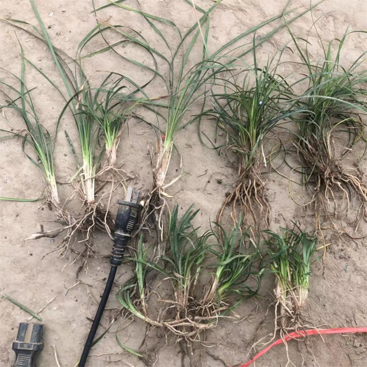 ͺ~l(f)z횲ݡСA^pԺ