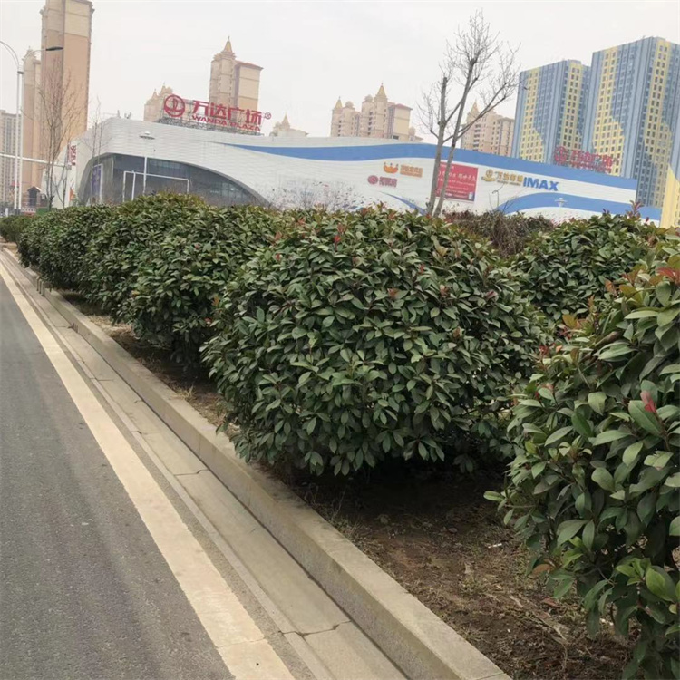 S100-150ҵġϼt~ʯΑB