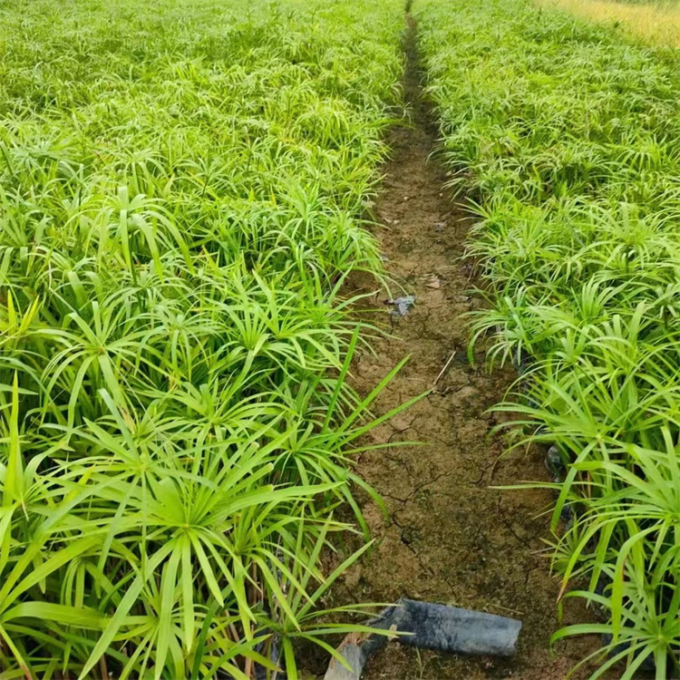 ϲꎝ(yn)365f(wn)ˮ~΄e^pԺ