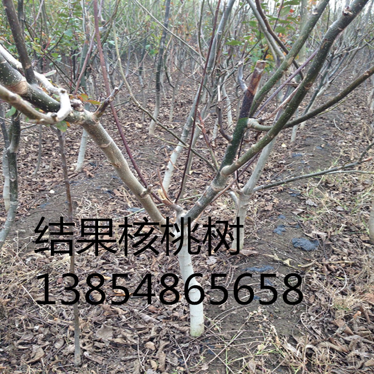 3-5ֺҘ䡢(dng)Y(ji)Ҙ