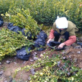 ߮a(chn)Ͳ硢޽Ͳ硢p|IB(yng)