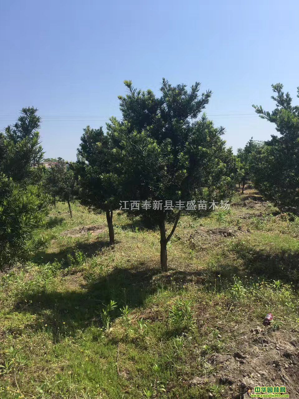 Fݵ؅^(q)10-15ּtɼ_hɡЦ