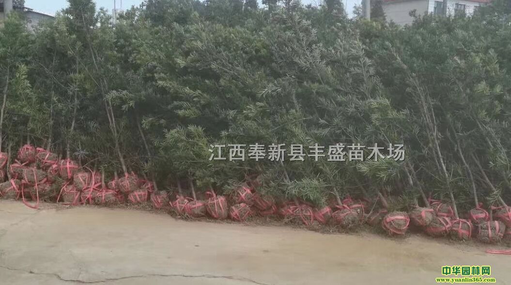 _hС硢2-8_hɶࡢ10-18_h