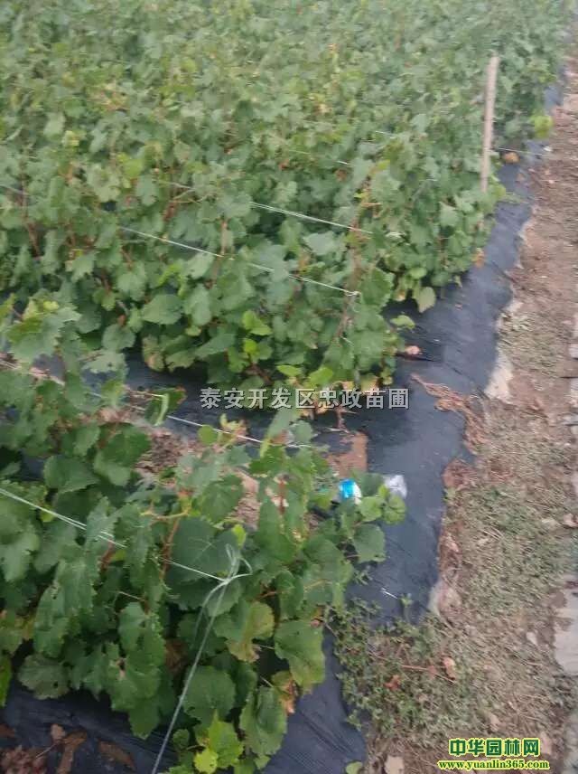 ޷ј硢Fݾ޷硢FݷNֲ