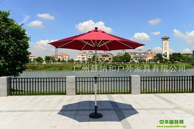 ꖂ㡢eӾeSֱN