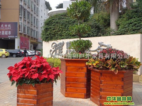 ⾰^䡢С^^ľ䡢@־^