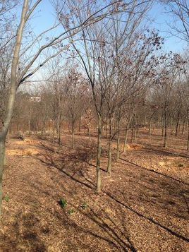 t6-18֡ŽcAr(nng)I(y)B(ti)t