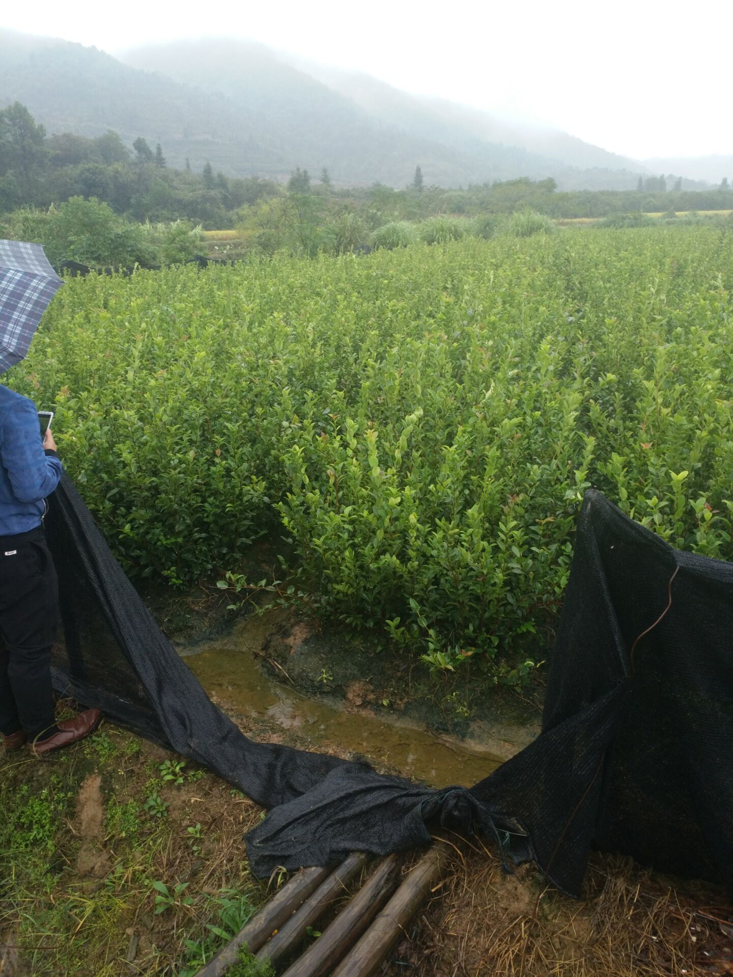 1-2ͲСr񡢸20-100ͲСr