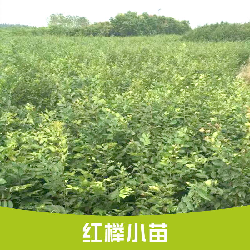 ߶60ּtС؏0.4֡ÿۃr0.5Ԫ