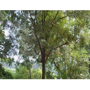 r(nng)ֱN80ָSBľСһá80ָSBľС