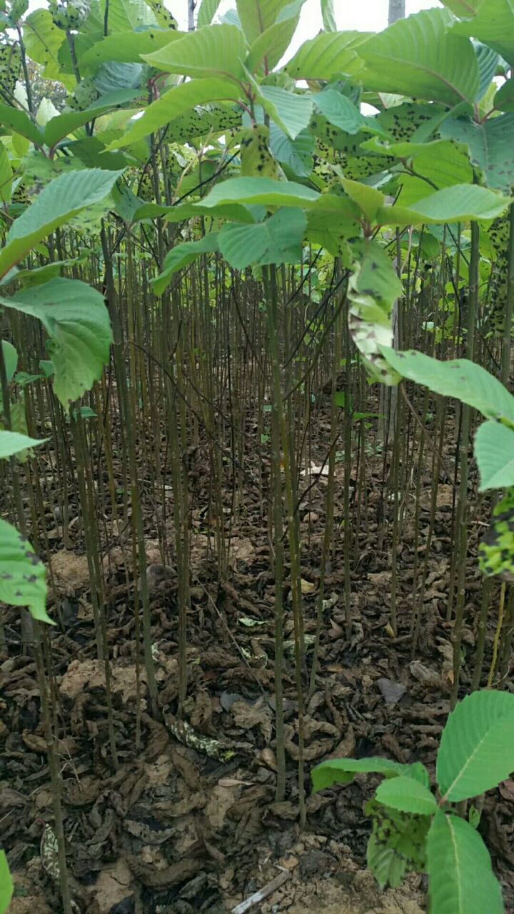 ϲС硢һϲСr(ji)1ϲС