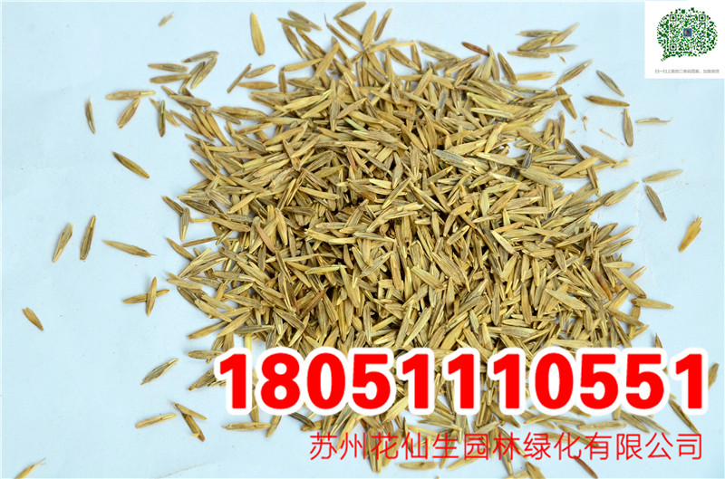 No(w)âȸݷNӡݡϲݡòݷN