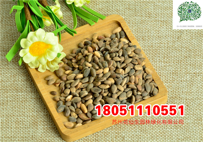 ɷNӡ~ɡ~RβɡtƤɡ|ɷN