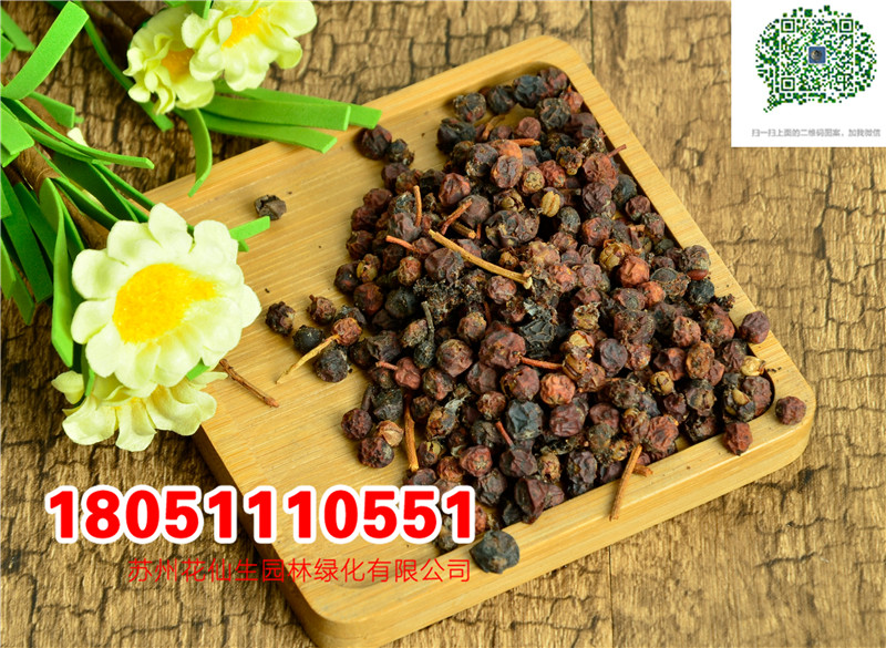 ҷN܇ӷNӡɽҷNһN