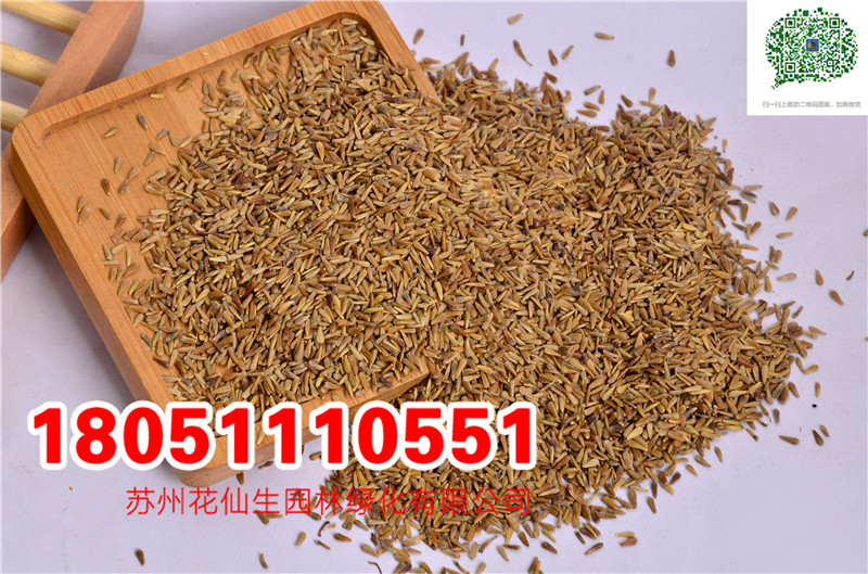 շNDN¾շNN