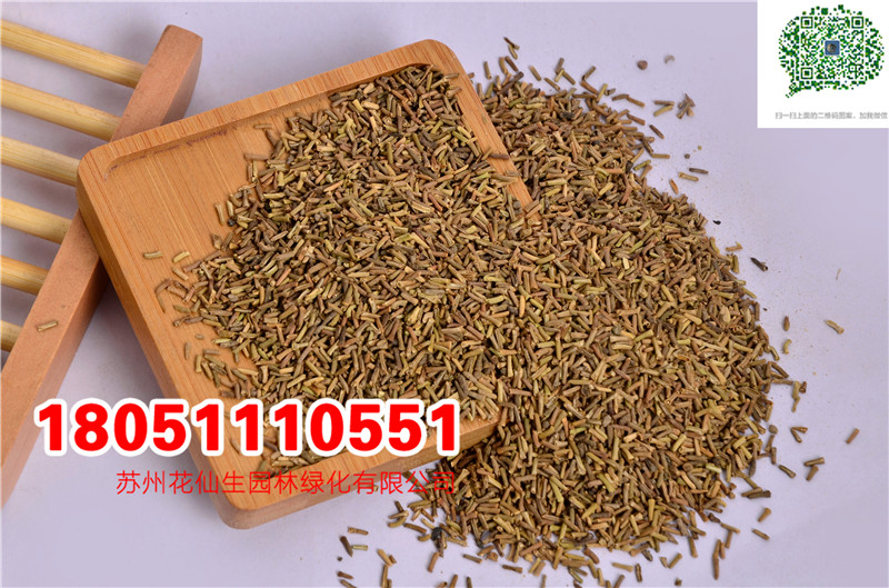 ŮѻɫNӡŮѷNӡɫ÷䁵R޲ݡ䁵\N