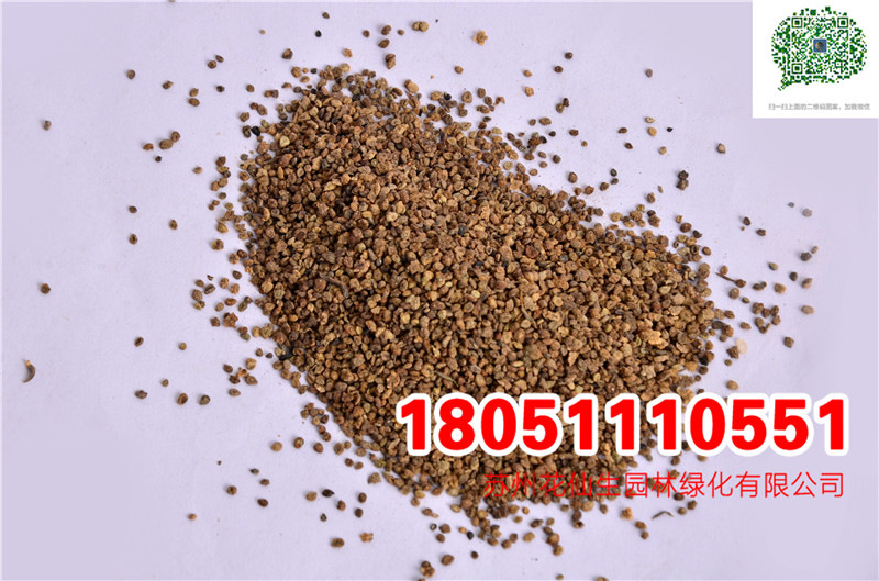 wNӡNӡNӡ硢ˡȸɷN