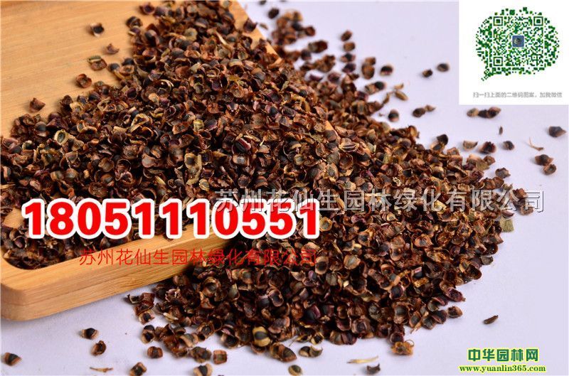 uշNС˹աաȸա\uշN