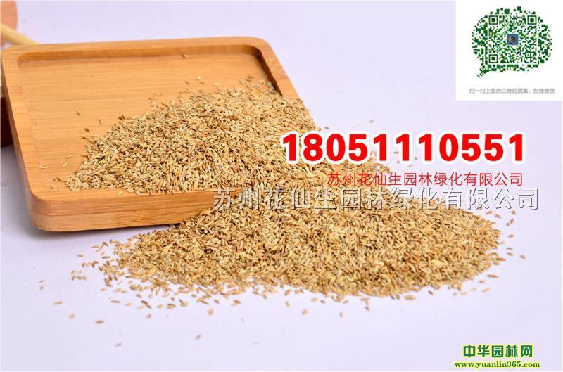 |ĽƺNӏSֱNo²Ƥļ~ݲƺN