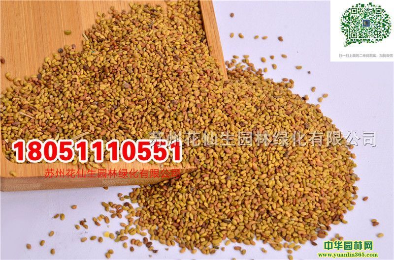 |ϻޣNӢݷNӰޣNӌĈDƬSֱNr