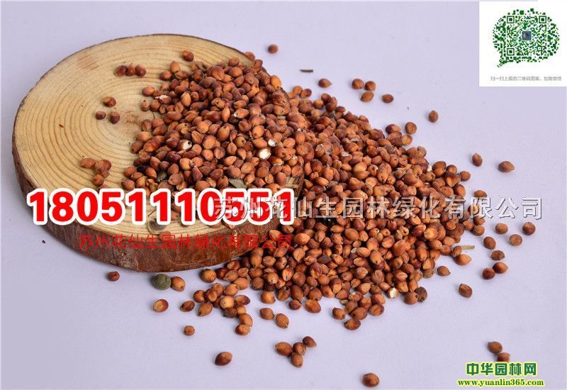 (yu)|(zh)ߵݷNӃrĈDƬSֱNr