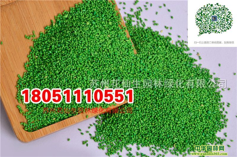 |o²ݷNѰ¹ƺNĈDƬSֱNr