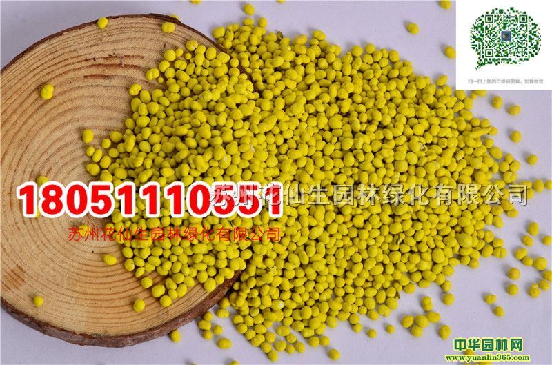 |ݷNӢNӰӢĈDƬSֱNr