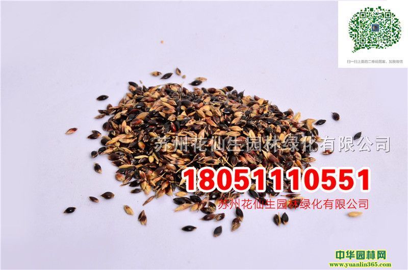 (yu)|(zh)ݷNKݷNӸߵݹβײݷNӌĈDƬSֱN