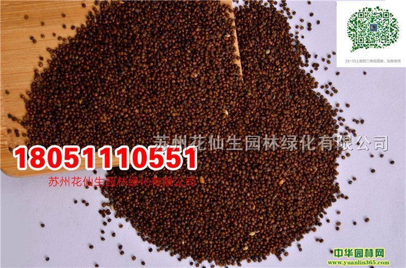 (yu)|(zh)ݷNӰ}NӺβݹβݷNĈDƬS