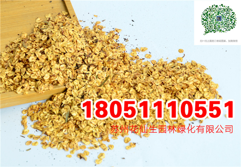 (yu)|(zh)ˮɼNɼľNᗗɽҷN(sh)ĈDƬSֱNr(ji)