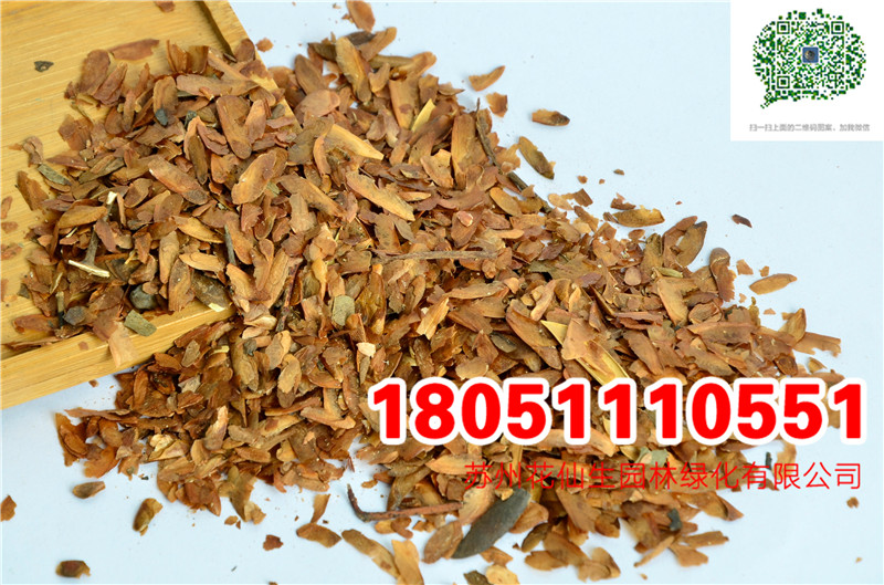 |㴻N㴻ѷNӳNĈDƬSֱNr