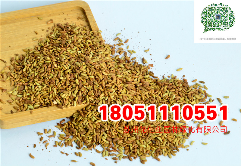 |뻱Nӹ~Ro²ƺNĈDƬS