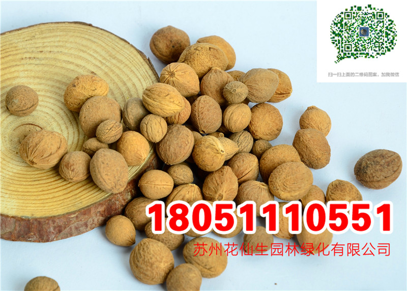 (yu)|(zh)~÷NĈDƬSֱNr