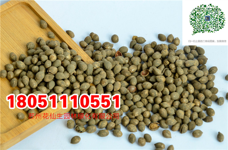 (yu)|tɼN؁tɼNӼtNĈDƬSl(f)