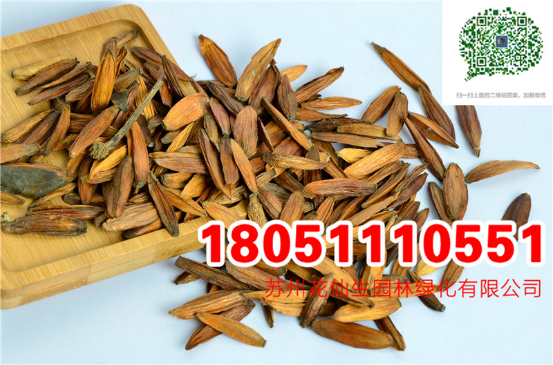 |ϲNӘ䡢鬘䡢䡢䡢NĈDƬS