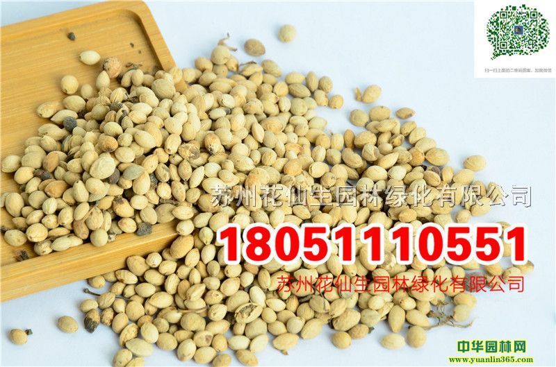 (yu)|(zh)t~ʯ骷N(sh)ĈDƬSֱNr(ji)