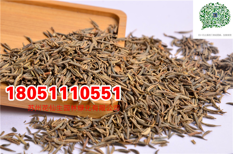 l(f)(yu)|(zh)U˹շNӮ(dng)²ɷN(sh)ĈDƬSֱNr(ji)