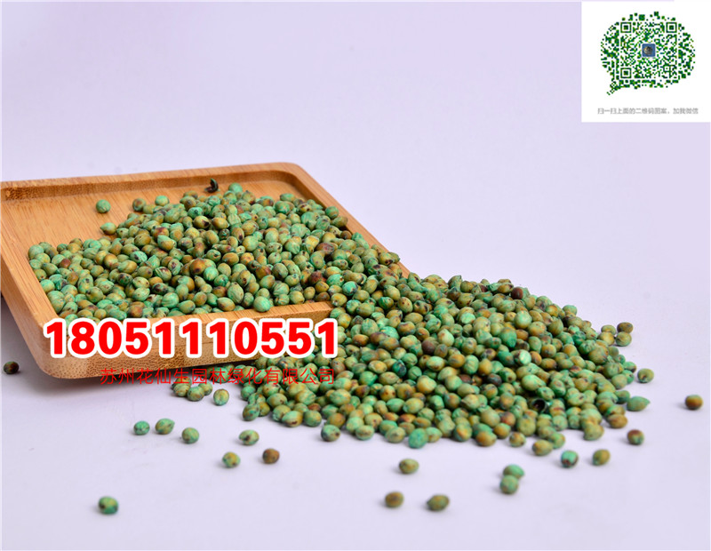 l(f)(yu)|(zh)ݷNӸߵݷNӮ·NĈDƬSֱN