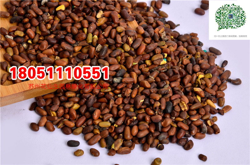 l(f)(yu)|(zh)lNӮ²ɷNĈDƬSֱNr