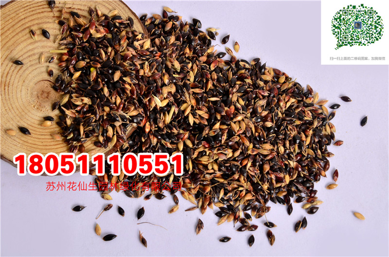 l|KݷNӺݸߵβݟoâȸNӏS