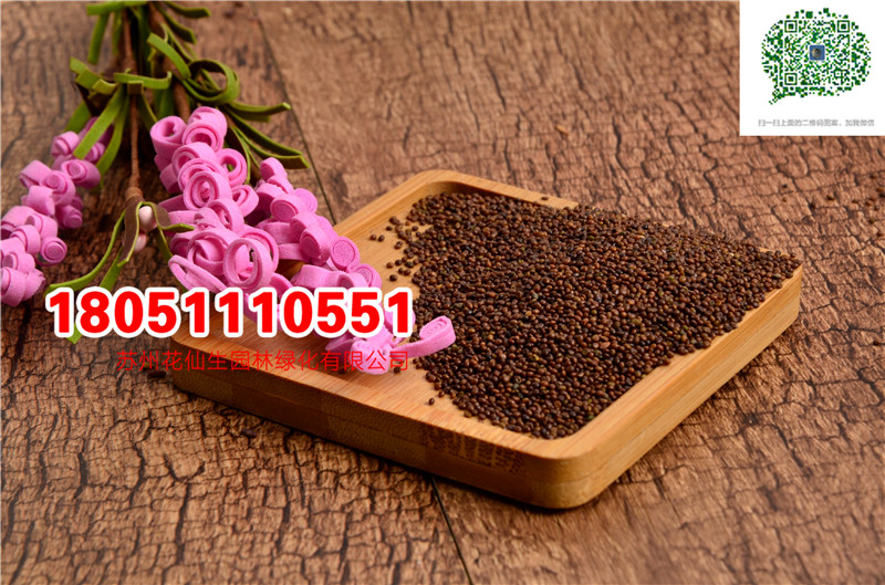 l(f)(yu)|(zh)ݰ}NӺKݸߵݹββé