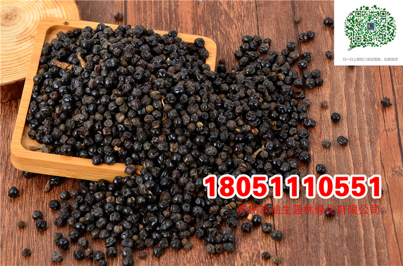 l|ˎķNɷNӵwӺJ޲KNӏSֱN