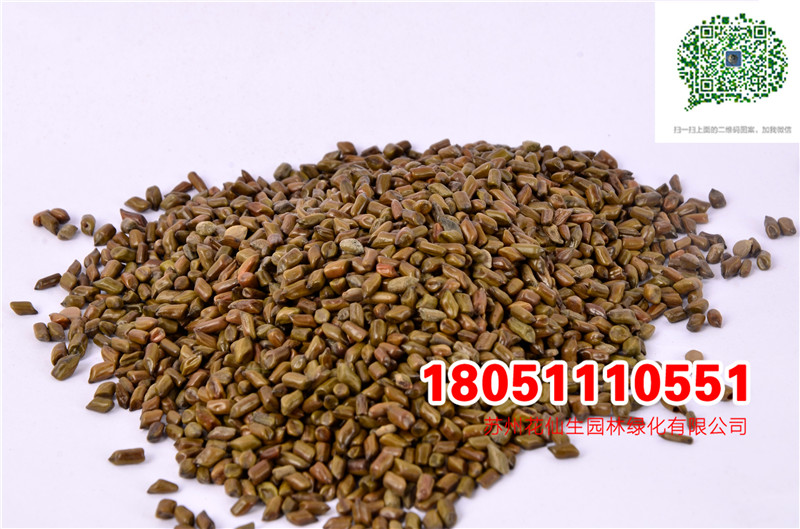 l|ˎķNӛQӷNӰgSɱNӏSֱN