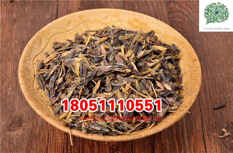 l(f)(yu)|(zh){NɽStNӲN